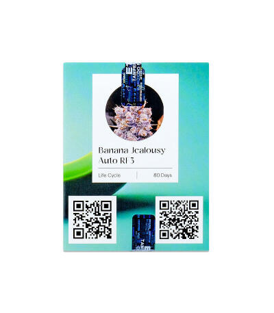Семена сорта Banana Jealousy Auto RF3 fem (Ethos Genetics)