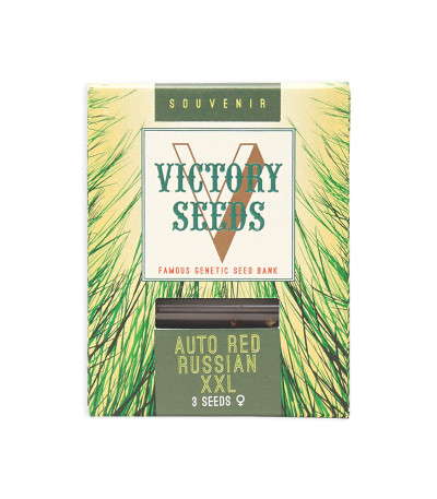 Семена сорта Auto Red Russian XXL fem (Victory Seeds)