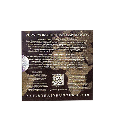 Семена сорта Damnesia fem (Strain Hunters)