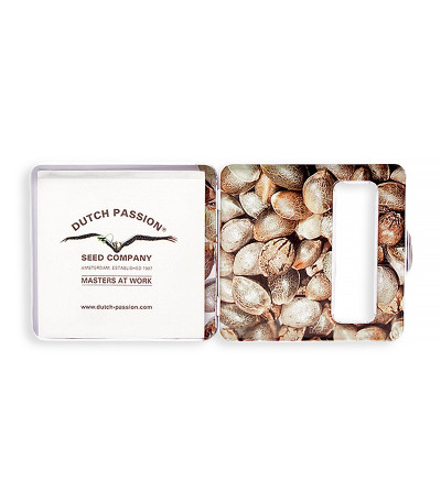 Семена каннабиса Auto Glueberry O.G. в оригинальной упаковке