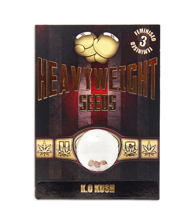 Семена сорта K.O. Kush fem (Heavyweight Seeds)
