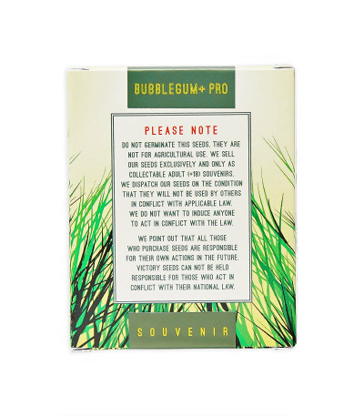 Семена сорта Bubblegum+ Pro fem (Victory Seeds)