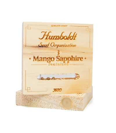 Семена сорта Mango Sapphire fem