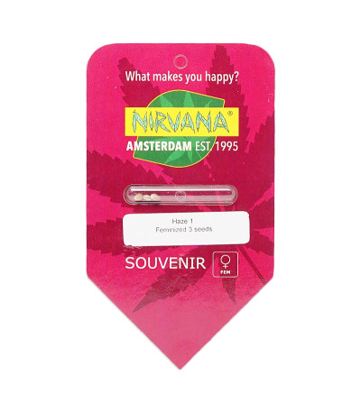 Семена сорта Amnesia Haze (Haze 1) fem (Nirvana Seeds)