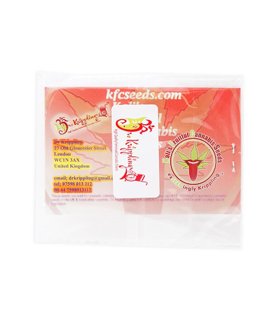 Семена сорта Melon Kali fem (KFC Seeds)