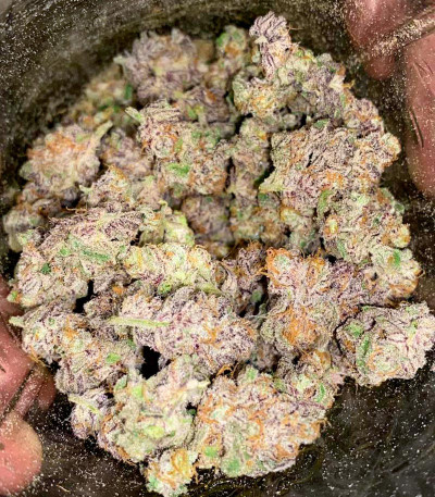 Семена сорта Runtz Punch fem (Herbies Seeds)