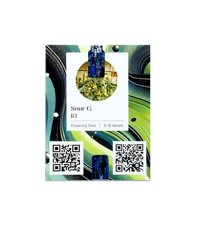 Семена сорта Sour G R1 fem (Ethos Genetics)