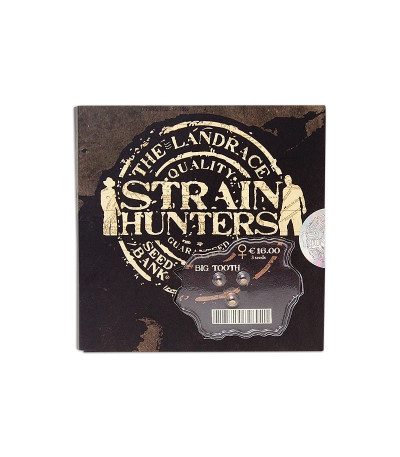 Семена сорта Big Tooth fem (Strain Hunters)