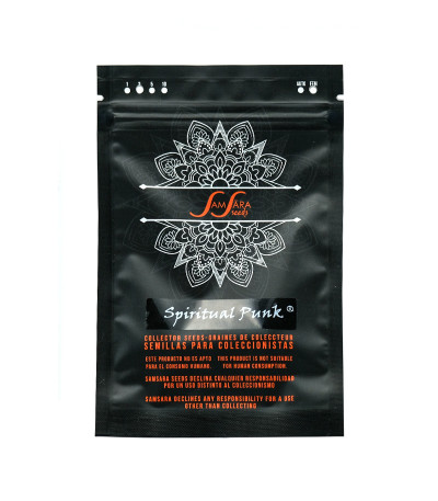 Семена сорта Spiritual Punk fem (Samsara Seeds)