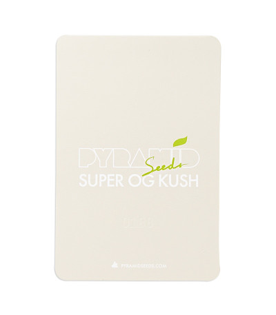 Семена сорта Super OG Kush fem (Pyramid Seeds)
