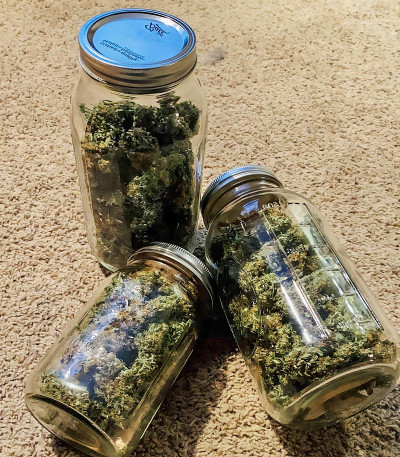 Семена сорта Auto Original Limonade Skunk fem (Victory Seeds)