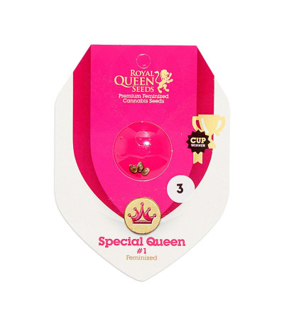 Семена сорта Special Queen 1 fem (Royal Queen Seeds)