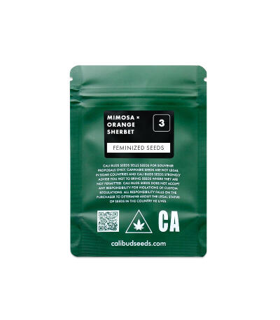 Семена сорта Mimosa × Orange Sherbet (7CH Seeds & Cali Buds Seeds)
