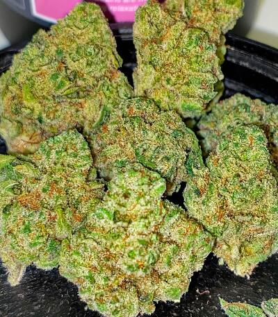 Семена сорта Gorilla 4 Autoflower fem (Easy Grow Seeds)