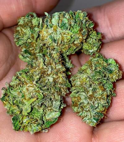 Семена сорта Señor Piña v.2 fem (UKHTA)