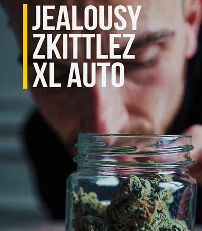 Семена сорта Jealousy Z XL Auto fem (Sweet Seeds)