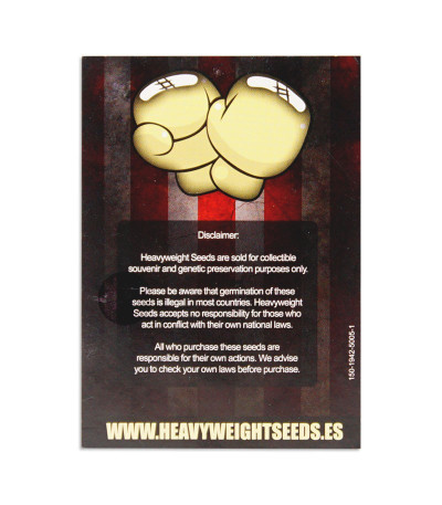 Семена сорта Monster Profit fem (Heavyweight Seeds)