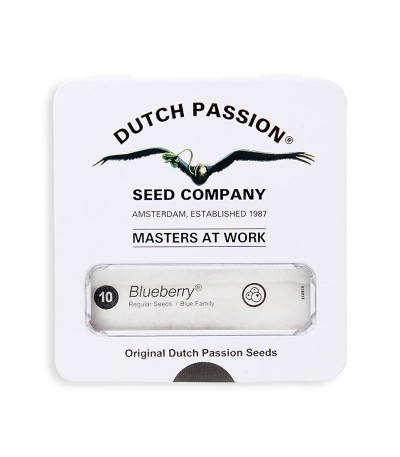 Семена сорта Blueberry reg (Dutch Passion)