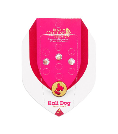 Семена конопли Kali Dog fem (Royal Queen Seeds)