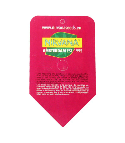 Семена сорта Pre-99 Big Bud fem