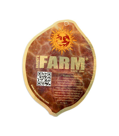 Семена сорта Red Diesel fem (Barney's Farm)