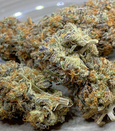 Семена сорта Orange Kush Cake R1 fem (Ethos Genetics)