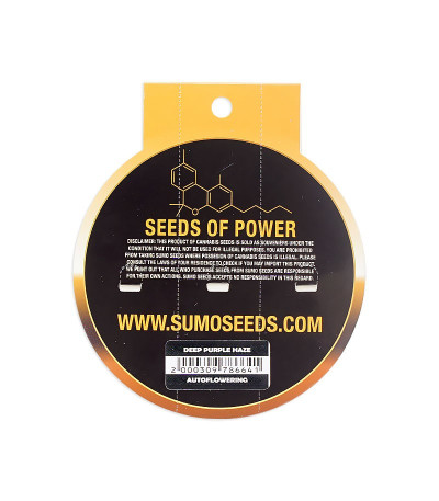 Семена сорта Deep Purple Haze Auto fem (Sumo Seeds)