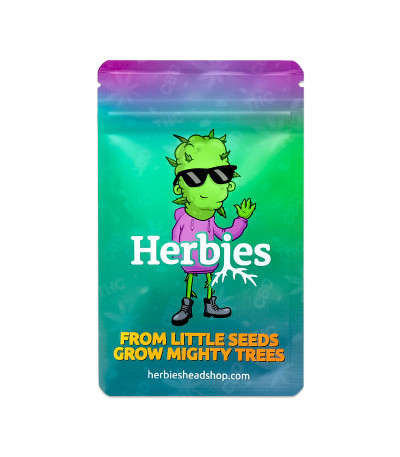 Семена сорта Purple Juice Auto fem (Herbies Seeds)