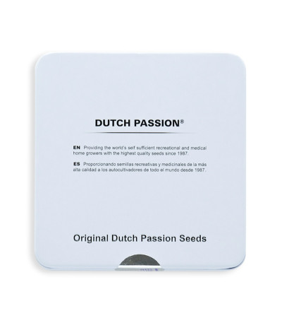 Семена сорта Auto Brooklyn Sunrise fem (Dutch Passion)