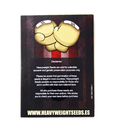 Семена сорта Jackpot Auto fem (Heavyweight Seeds)