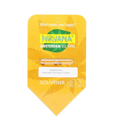 Семена сорта Bubblelicious Automatic fem (Nirvana Seeds)
