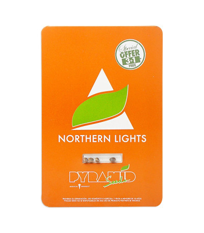 Семена сорта Northern Lights fem (Pyramid Seeds)