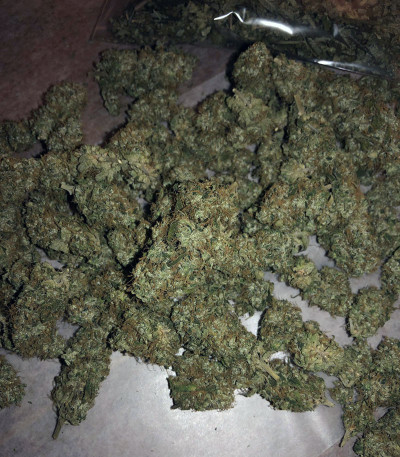 Семена сорта Wedding Gelato fem (RQS)