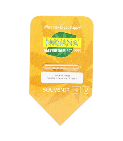 Семена сорта Lemon OG Haze Automatic fem (Nirvana Seeds)