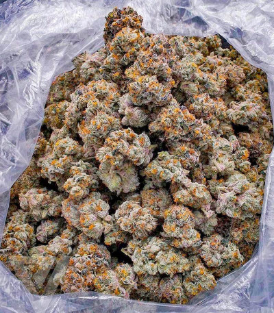 Семена сорта Super Boof fem от Barney's Farm