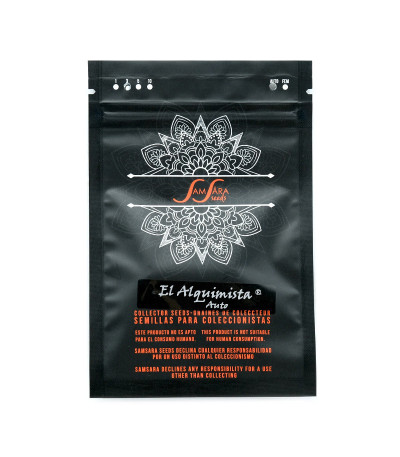 Семена сорта El Alquimista Auto fem (Samsara Seeds)