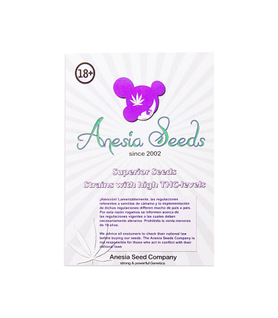 Семена сорта Auto Blueberry Banana fem (Anesia Seeds)