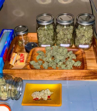 Семена сорт OG Kush Fast Version fem (Семяныч)