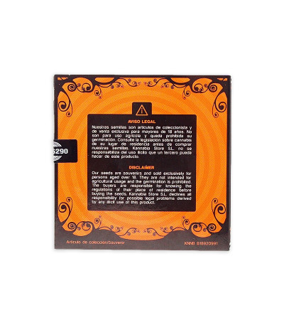 Семена сорта Smile Max Auto fem