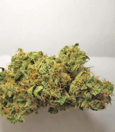 Семена сорта LSD fem (Семяныч)