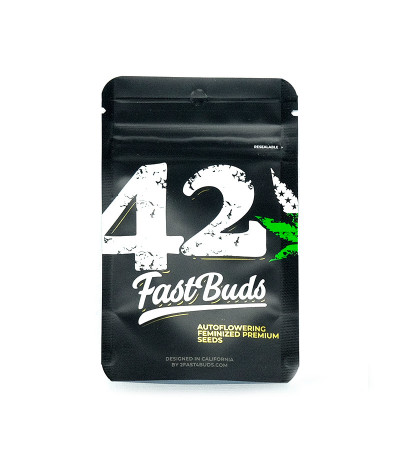 Семена сорта Gelato Auto fem (FastBuds)