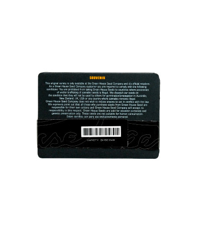 Семена сорта The Church fem