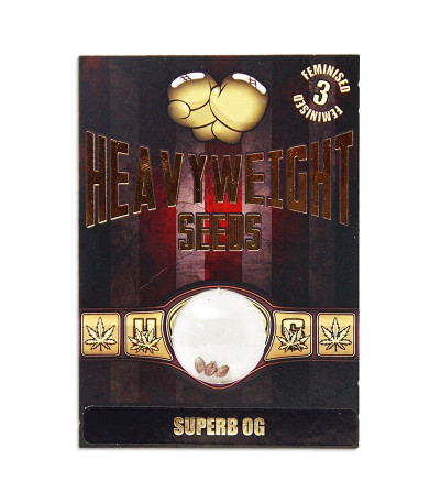 Семена сорта Superb OG fem (Heavyweight Seeds)