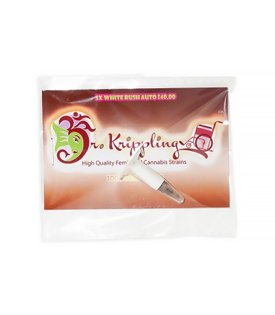 Семена сорта White Rush Auto fem (Dr. Krippling Seeds)