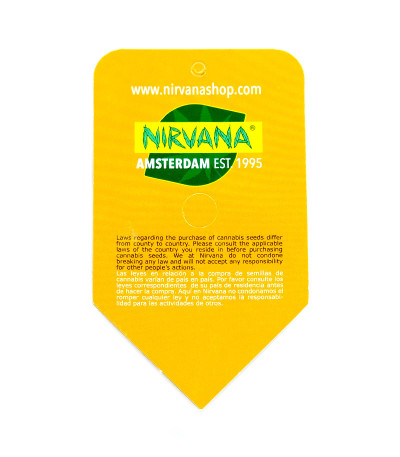 Семена сорта Girl Scout Cookies Auto fem (Nirvana Seeds)