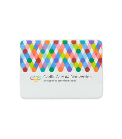 Семена сорта Gorilla Glue #4 Fast Version fem (Easy Grow Seeds)