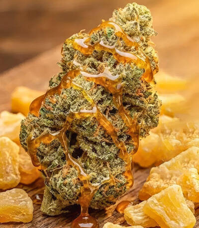 Семена сорта Señor Piña v.2 fem (UKHTA)