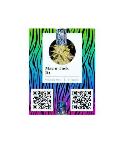 Семена сорта Mac n’ Jack R1 fem (Ethos Genetics)