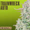 Семена сорта Original Trainwreck Auto fem (FastBuds)