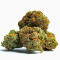 Семена сорта Mandarin Cookies fem (7CH American)